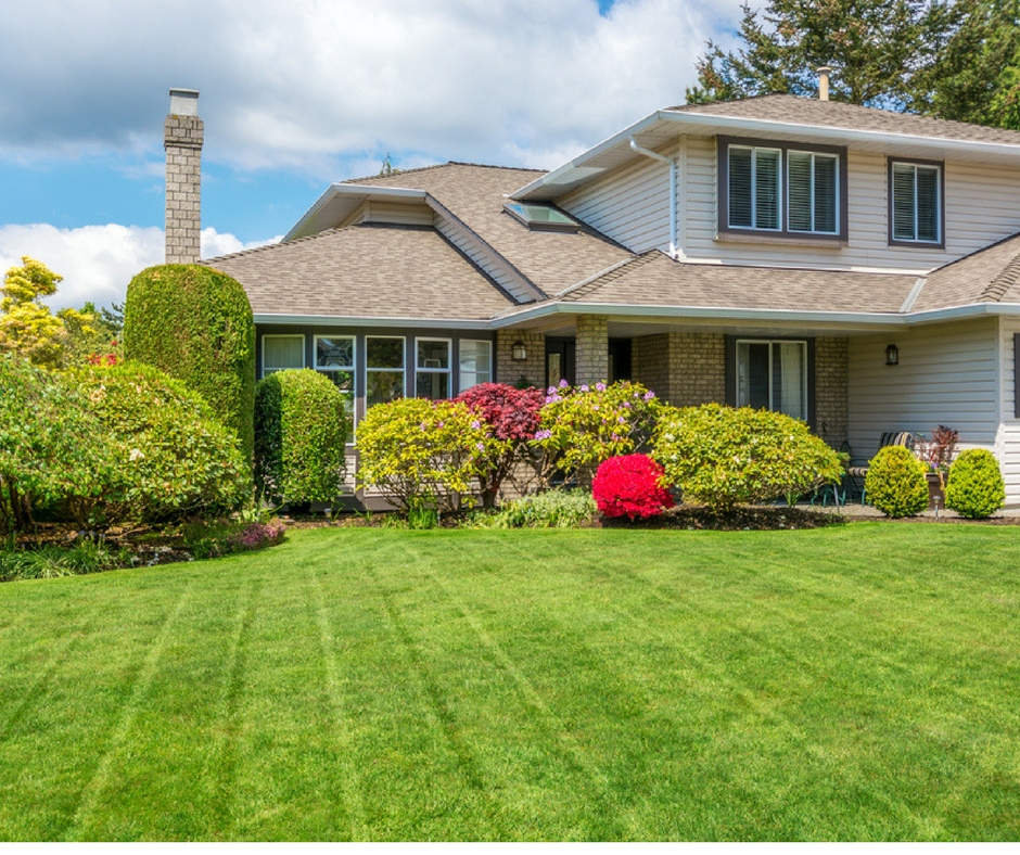 Lawn