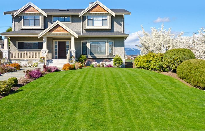 Lawn