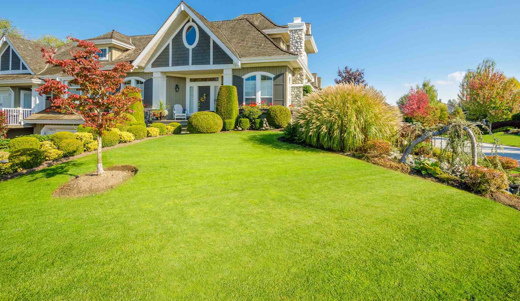 Lawn